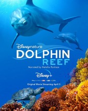 hd-Dolphin Reef