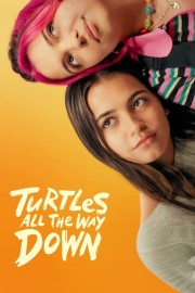 hd-Turtles All the Way Down