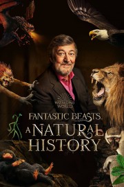 hd-Fantastic Beasts: A Natural History