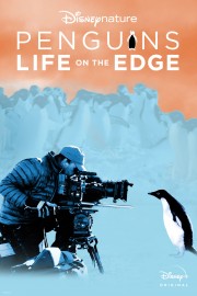 hd-Penguins: Life on the Edge