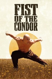 hd-Fist of the Condor