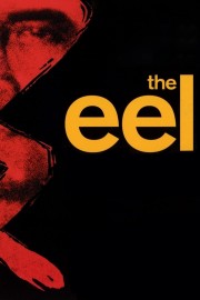 hd-The Eel