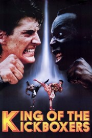hd-The King of the Kickboxers