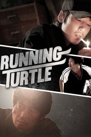 hd-Running Turtle