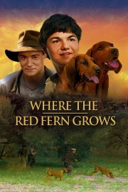 hd-Where the Red Fern Grows