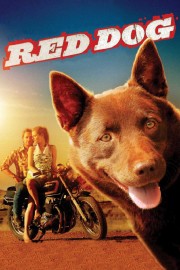 hd-Red Dog