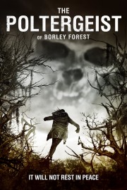 hd-The Poltergeist of Borley Forest