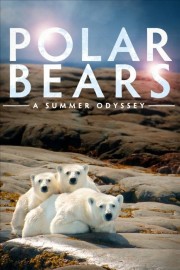 hd-Polar Bears: A Summer Odyssey