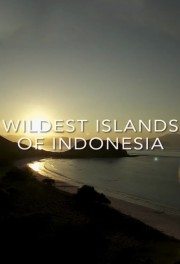 hd-Wildest Islands of Indonesia