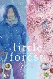 hd-Little Forest: Winter/Spring