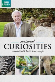 hd-David Attenborough's Natural Curiosities