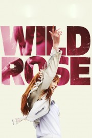 hd-Wild Rose