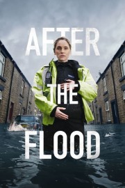 hd-After the Flood