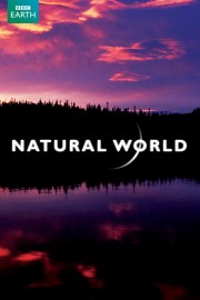 hd-Natural World