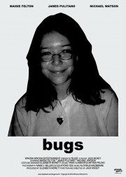 hd-Bugs