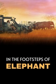 hd-In the Footsteps of Elephant