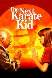 hd-The Next Karate Kid