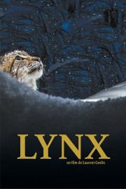hd-Lynx