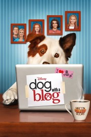 hd-Dog with a Blog