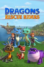 hd-Dragons: Rescue Riders