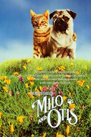 hd-The Adventures of Milo and Otis