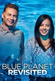 hd-Blue Planet Revisited