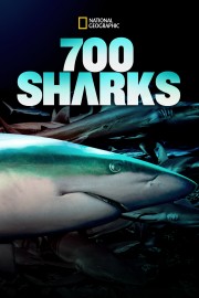 hd-700 Sharks