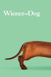 hd-Wiener-Dog