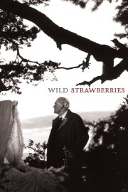 hd-Wild Strawberries