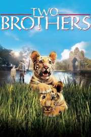 hd-Two Brothers