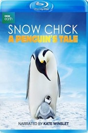 hd-Snow Chick - A Penguin's Tale