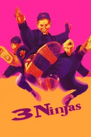 hd-3 Ninjas