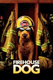 hd-Firehouse Dog