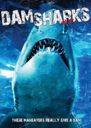 hd-Dam Sharks!