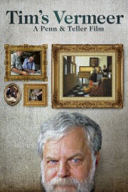 hd-Tim's Vermeer