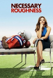 hd-Necessary Roughness