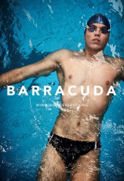 hd-Barracuda