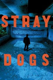 hd-Stray Dogs