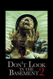 hd-Don't Look in the Basement 2