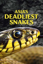 hd-Asia's Deadliest Snakes