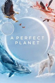 hd-A Perfect Planet