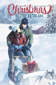 hd-Christmas in the Wilds
