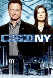 hd-CSI: NY