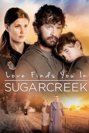 hd-Love Finds You In Sugarcreek