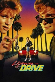 hd-License to Drive