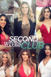hd-Second Wives Club