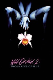 hd-Wild Orchid II: Two Shades of Blue