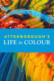 hd-Attenborough's Life in Colour
