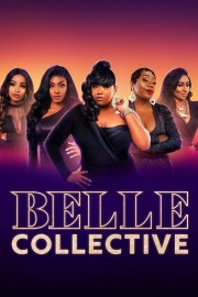 hd-Belle Collective