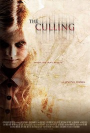hd-The Culling